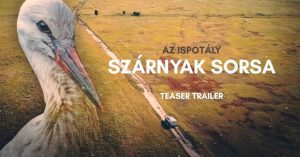 A Szárnyak Sorsa című filmben főszerepet kapott egy fészekből kipottyant kisgólya