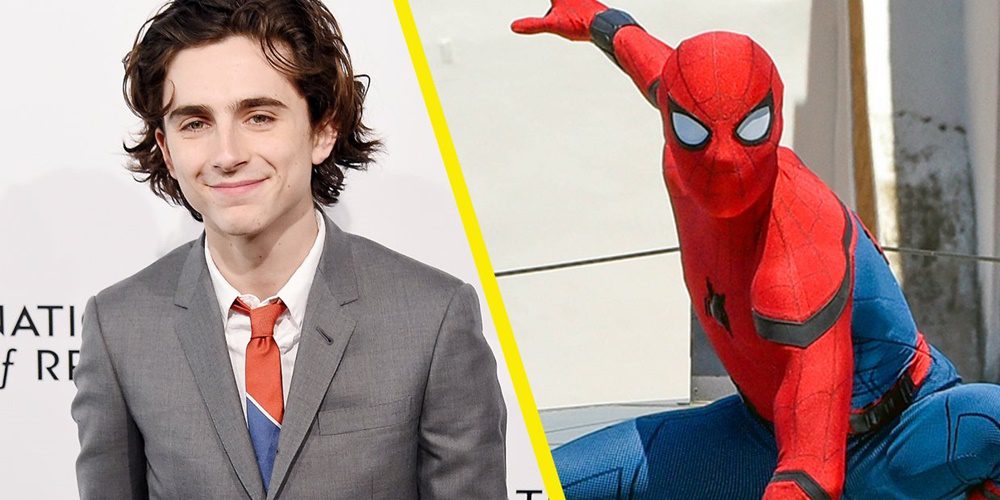 10 dolog, amit biztosan nem tudtál Timothée Chalamet-ről