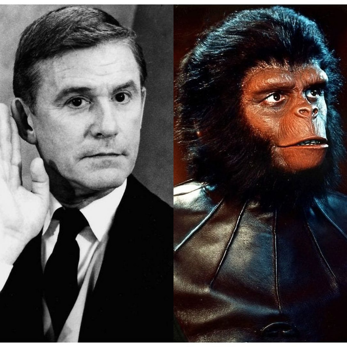 A valóságban így nézett ki Cornelius, A majmok bolygója című filmből - Roddy McDowall