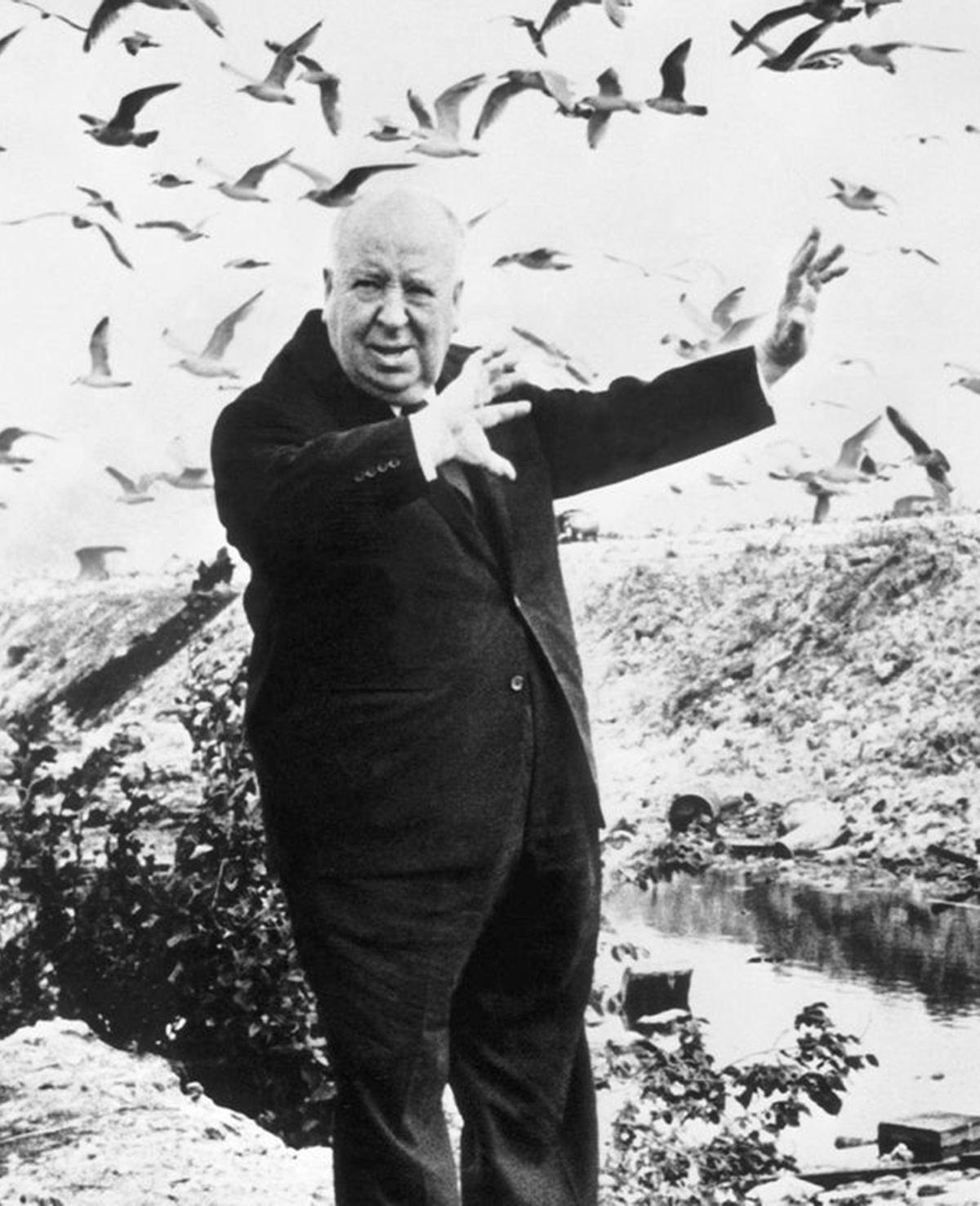 Alfred Hitchcock egyik legkiemelkedőbb filmjében a főszereplő színésznőt addig terrorizálták, míg össze nem omlott - Tippi Hedren