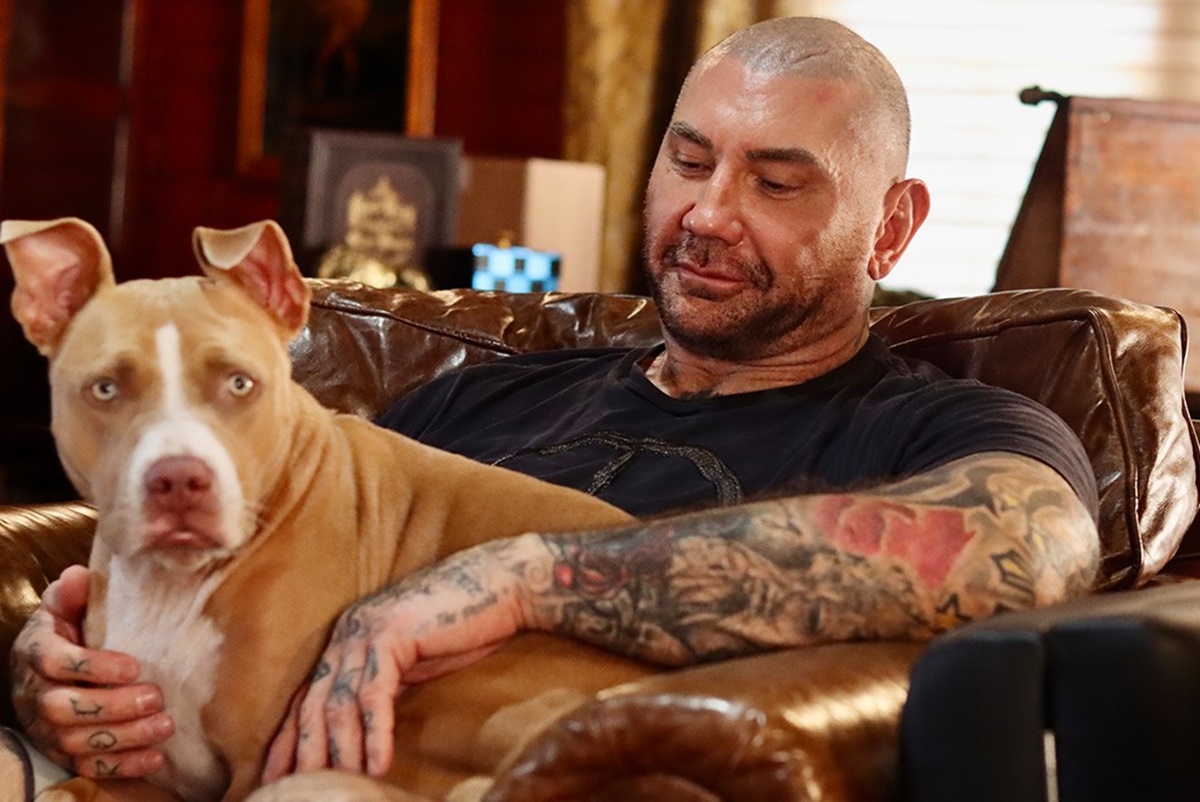 A galaxis őrzői sztárja, az állatvédő Dave Bautista elárulta, mire vágyik a legjobban