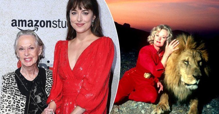 Dakota Johnson nem mindennapi dolgokat árult el oroszlánimádó nagymamájáról - Tippi Hedren