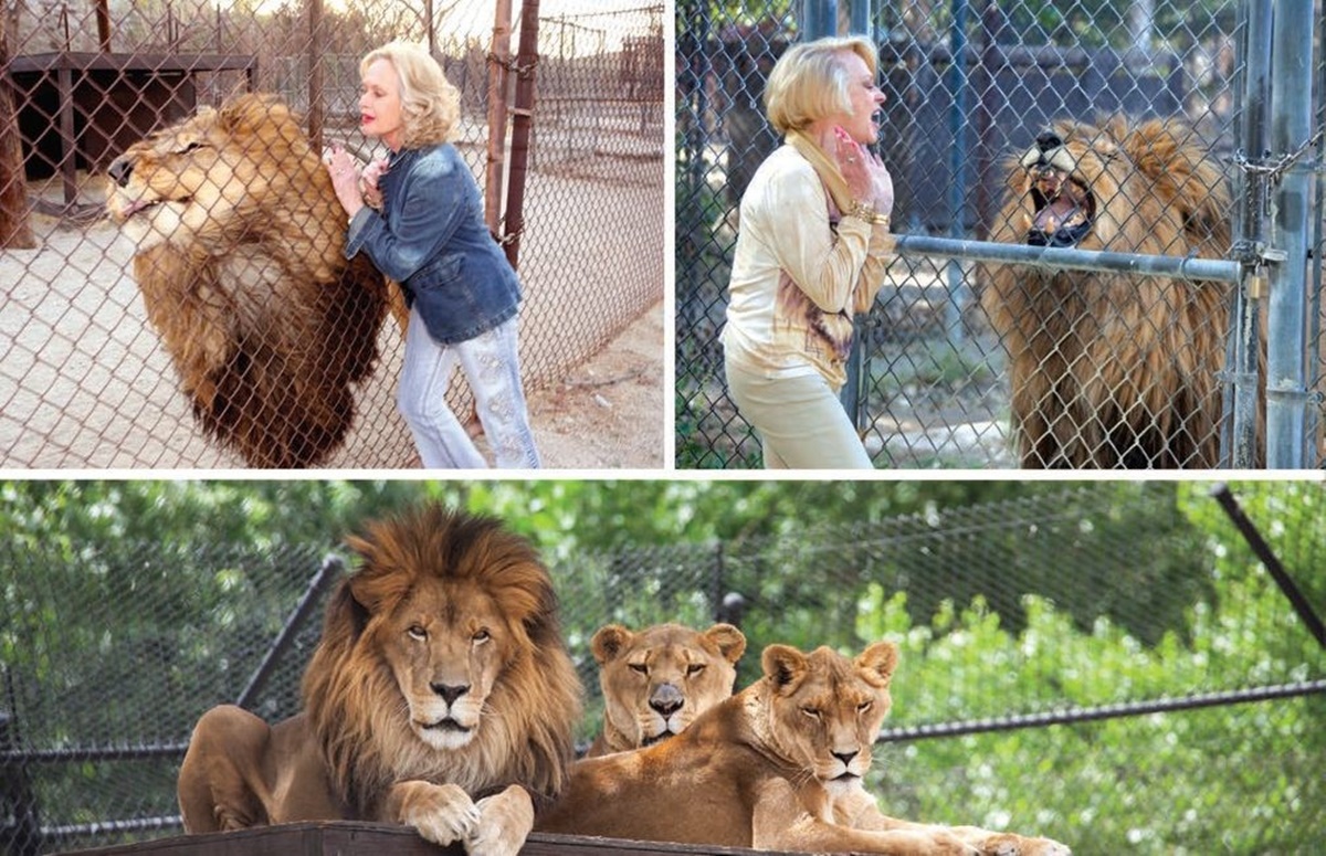 Dakota Johnson nem mindennapi dolgokat árult el oroszlánimádó nagymamájáról - Tippi Hedren