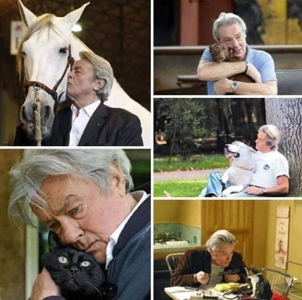 Alain Delon, aki imádta az állatokat - 8 szívmelengető tény, amit eddig nem tudtál a legendás színészről